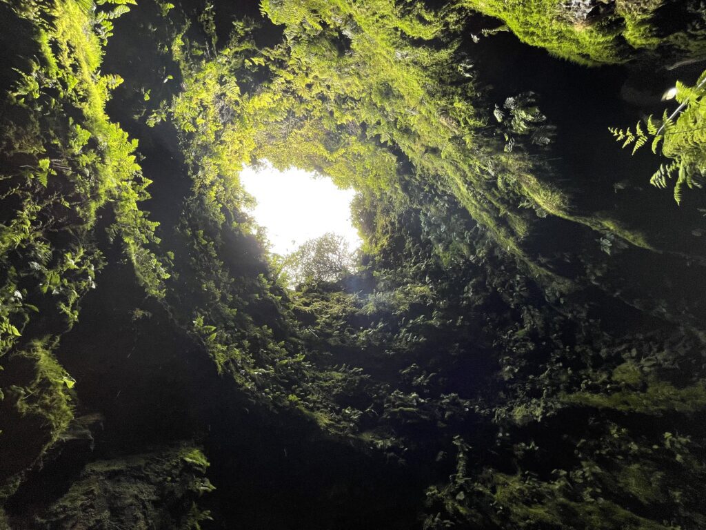 interior de la cueva